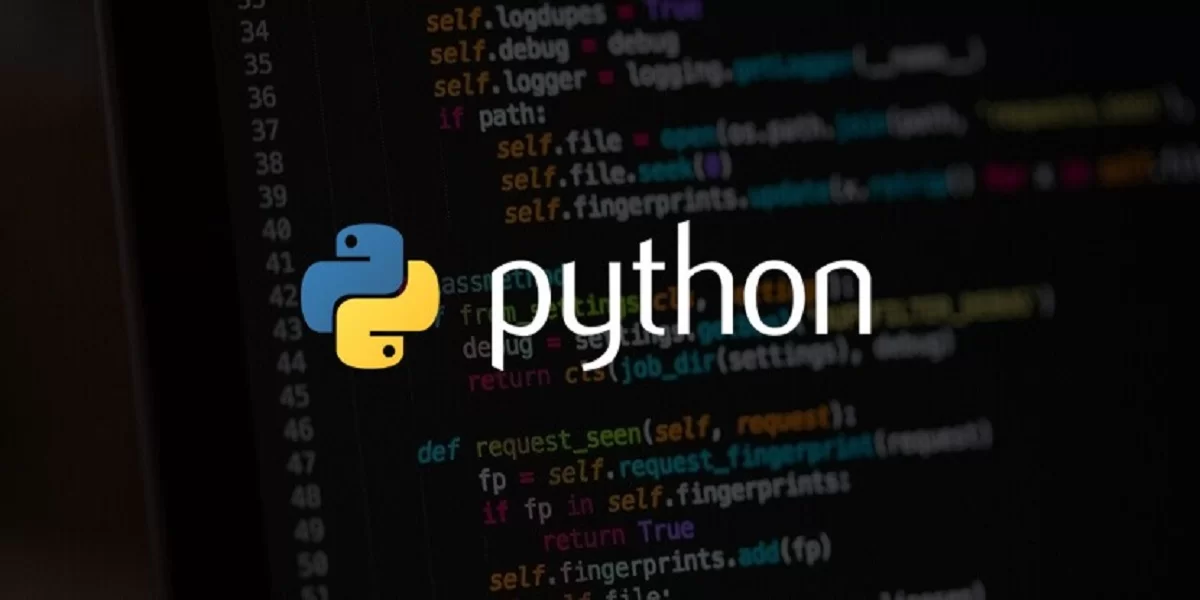 python-web-development